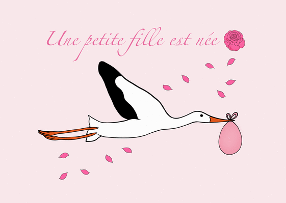 Naissance petite fille best sale